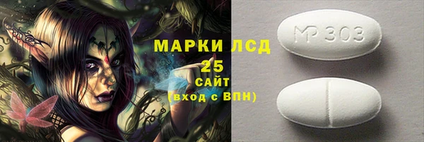 прущий лед Бородино