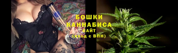 прущий лед Бородино