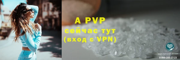 прущий лед Бородино