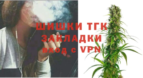 прущий лед Бородино