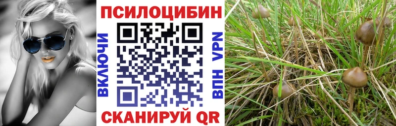 omg ТОР  Лянтор  Галлюциногенные грибы Psilocybe 